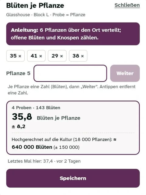 Blüten je Pflanze am Handy zählen